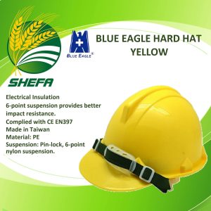 import placeholder for 823980068