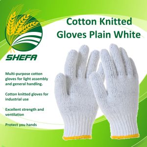 cotton knitted gloves, plain white, 1 dozen, 12 pairs
