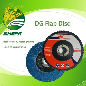 dg flap disc #80 4"