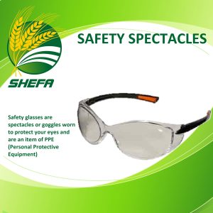 safety spectacles